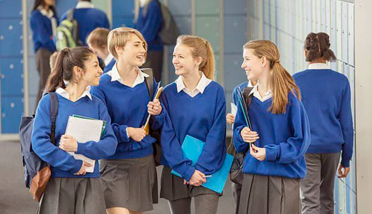 educacion diferenciada