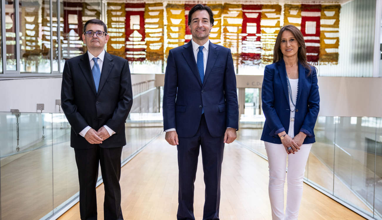 vicesecretarios