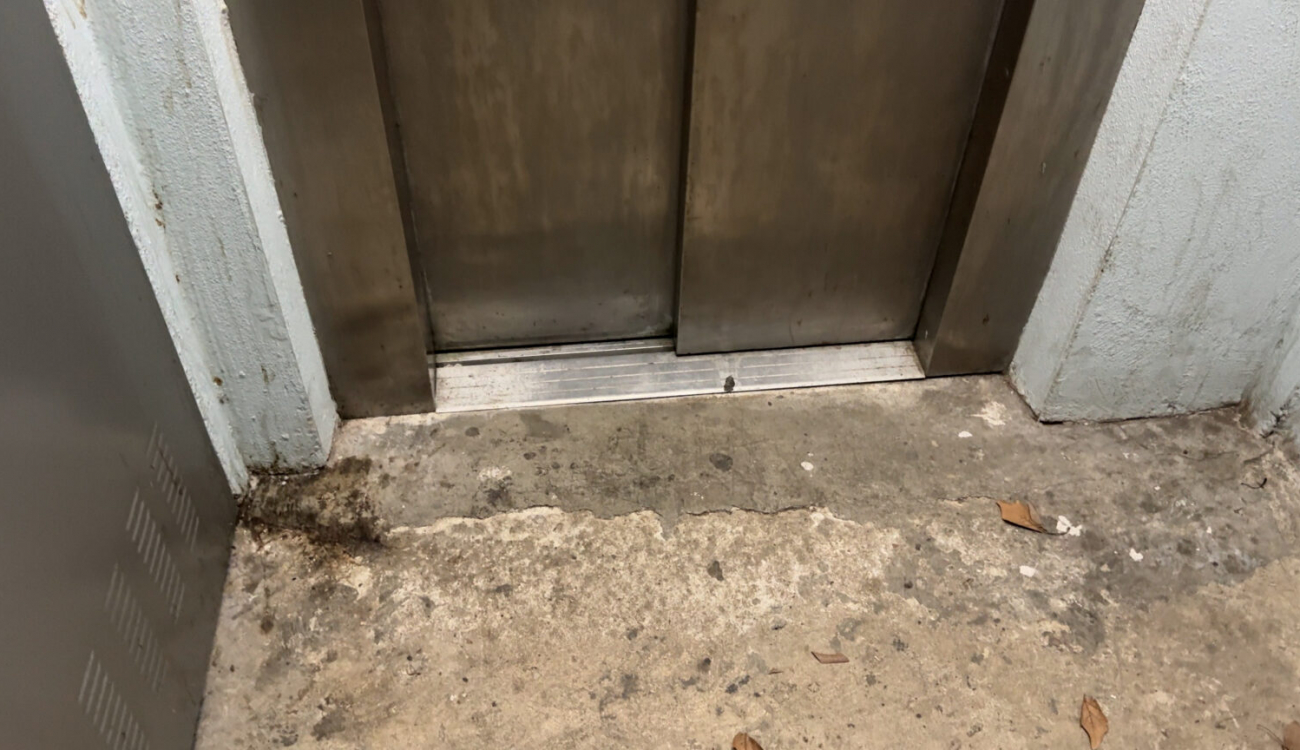 Promusa: massa anys mirant cap a una altra banda